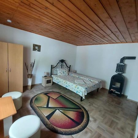 Pensiunea Raluca Mahmudia Extérieur photo
