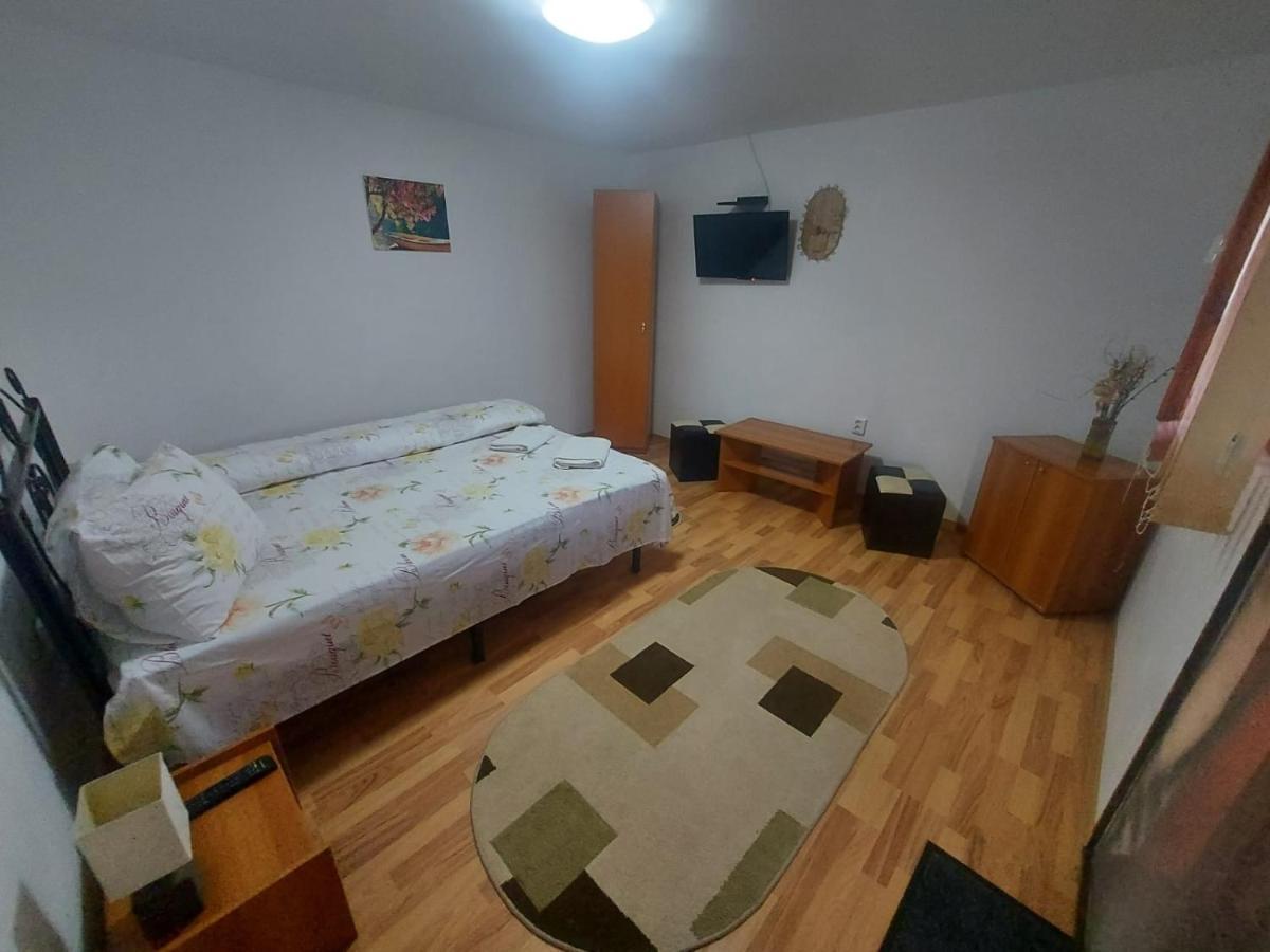 Pensiunea Raluca Mahmudia Extérieur photo